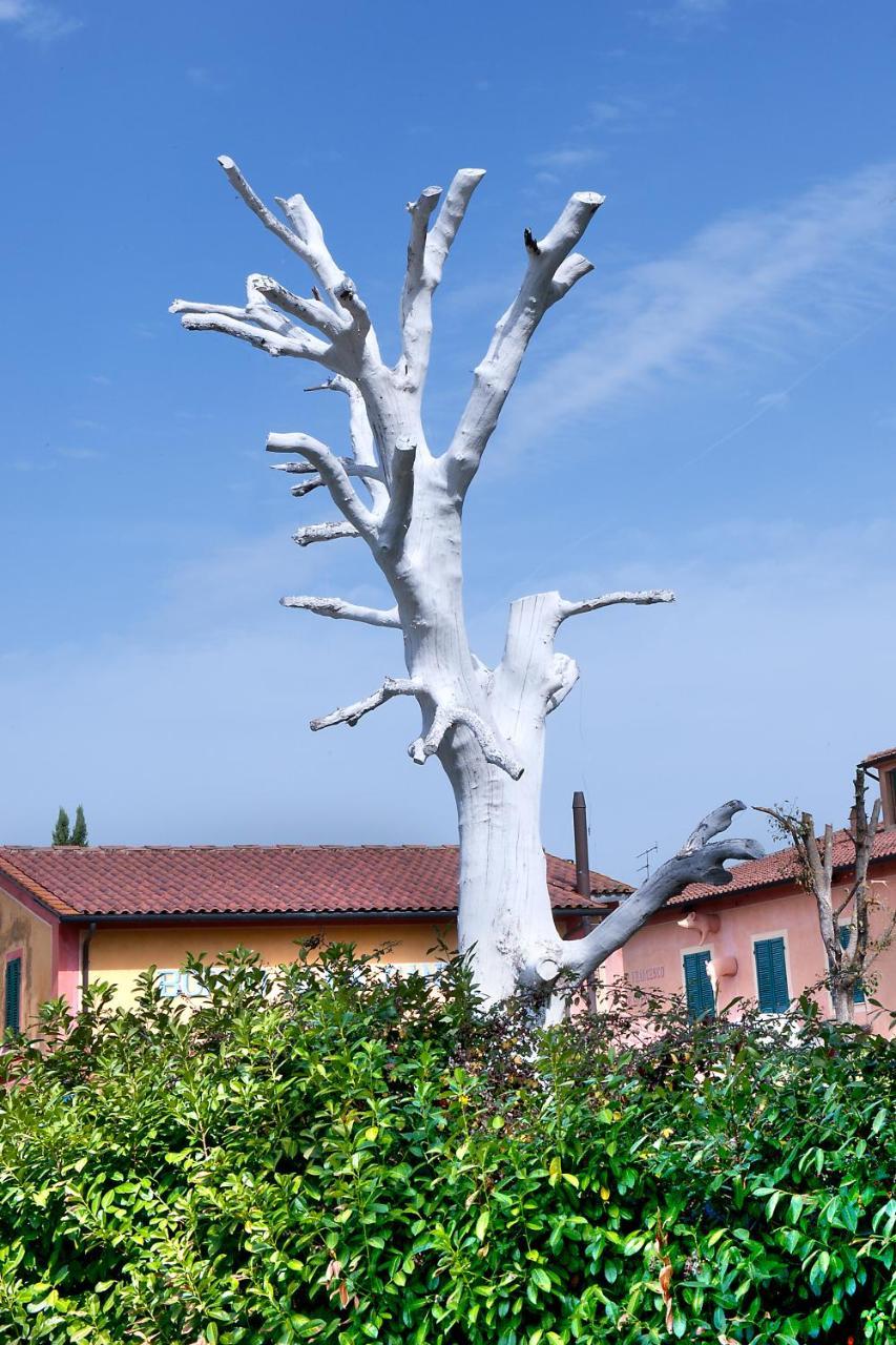 San Gervasio Fattoria Santa Lucia Borgo Alla Cantina المظهر الخارجي الصورة